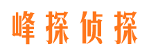 彭阳找人公司